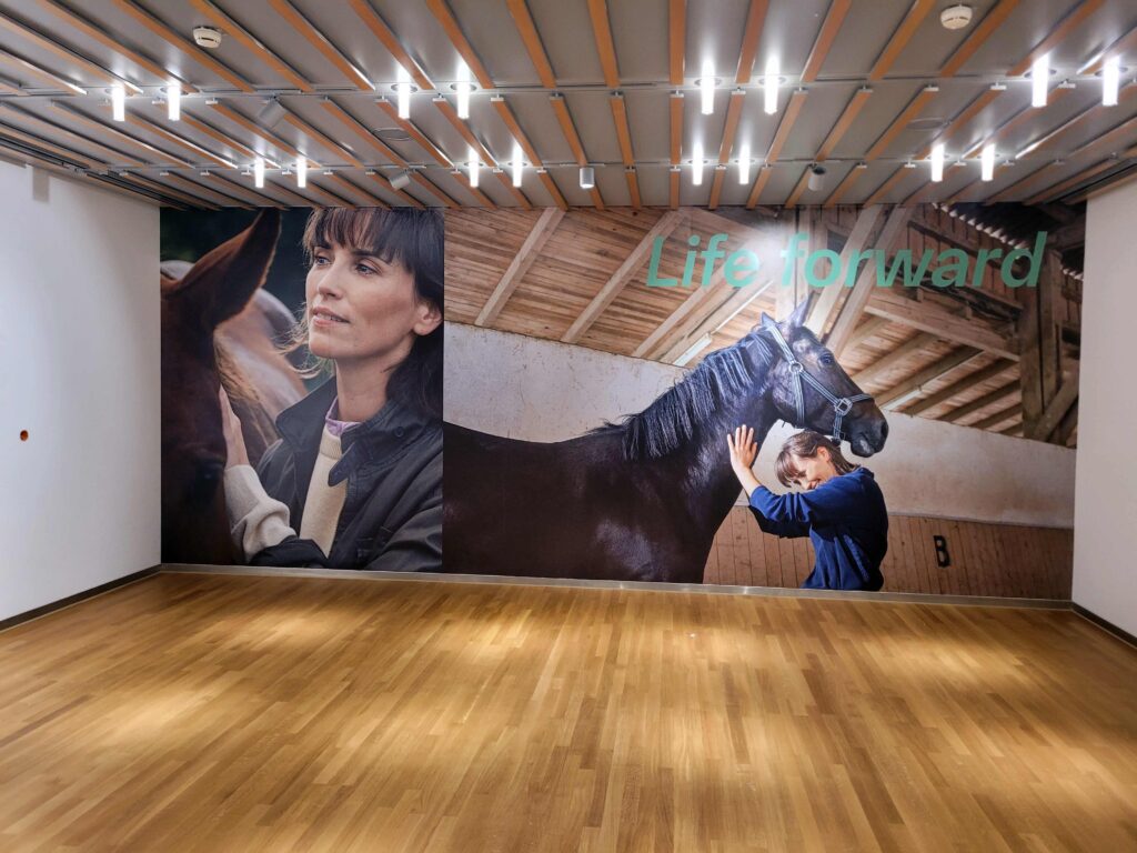 Boehringer Ingelheim (7)